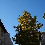 Charmant Studio 25 M2 Centre Ville Avignon