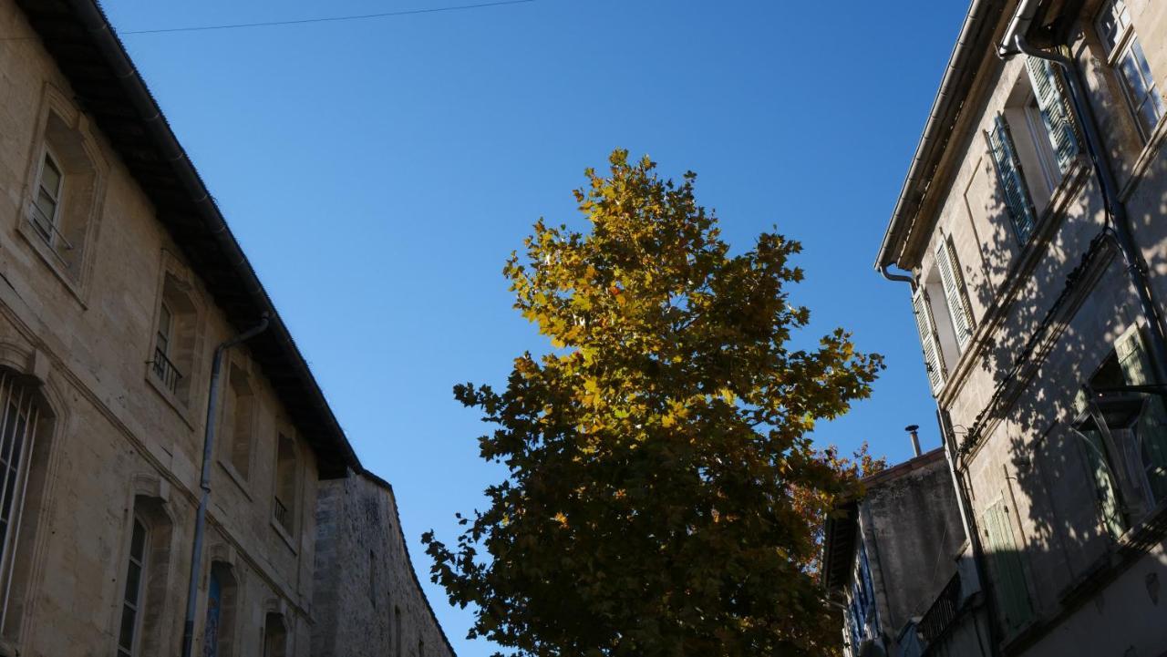 25 M2 Centre Appartement Avignon